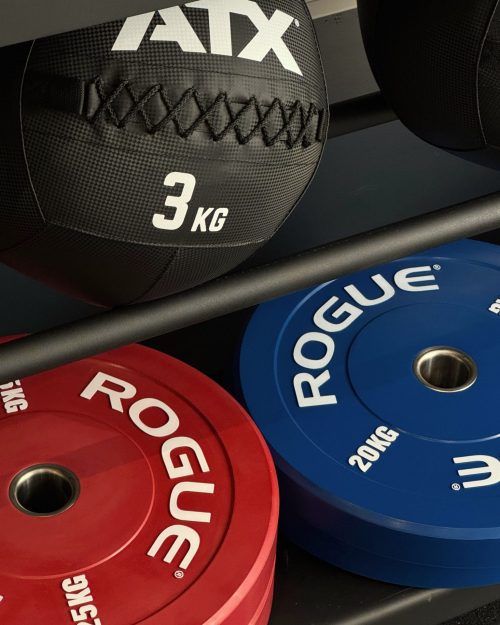 Medicine balls et poids Rogue Fitness pour les entraînements avec votre coach Saint-Jean-de-Luz.
